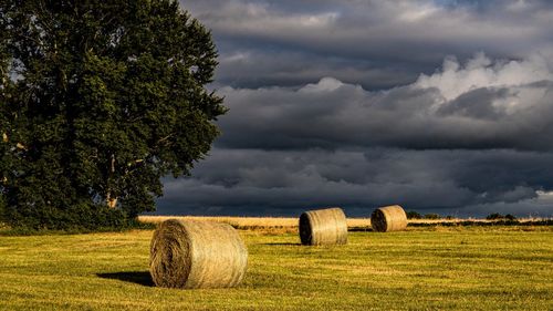 Hay bales on field against sky