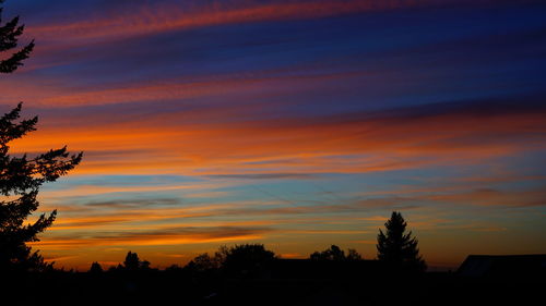 Silhouette trees against orange sky