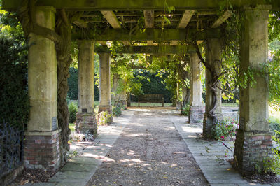 Empty footpath amidst trees and plants in park