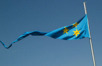 Celje's flag 