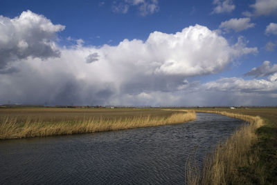 Scenic view of agricultural field against sky