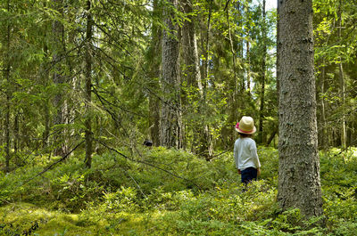 Rear view of child standing amidst trees