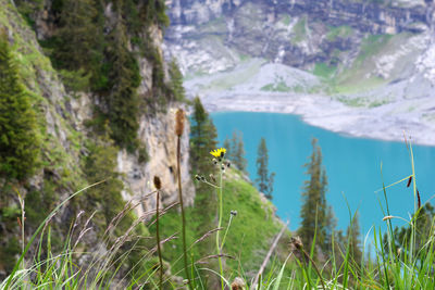 Scenic view of land