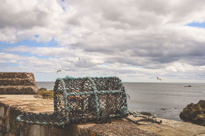 Seagull flying near a harbour wall