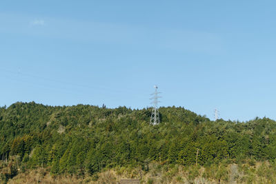 Plants growing on land against clear sky