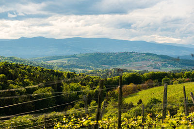 Scenic view of agricultural landscape against sky