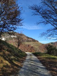 Road amidst trees against sky