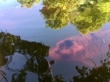 Reflection of trees in lake against sky