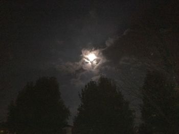 Low angle view of illuminated tree against sky at night