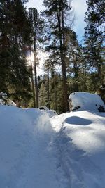 Scenic view of snow covered landscape