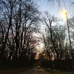 Silhouette bare trees by road against sky during sunset