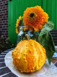 Close-up of fresh orange flower on table