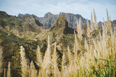 Huge barren mountain peak in dry arid desert. ribeira grande. santo antao island, cape verde