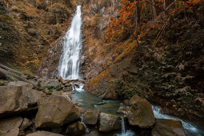 Scenic view of waterfall in forest