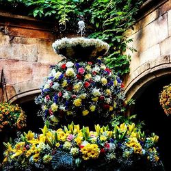 Potted plant on wall