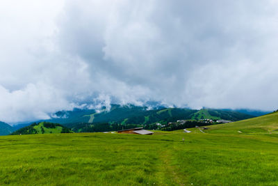 environment