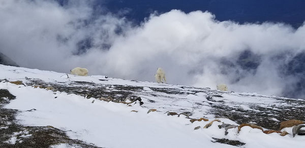 Scenic view of snow covered mountains against sky