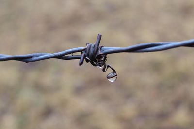 Close-up of barbed wire against sky