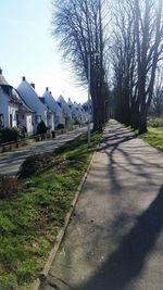 Empty road along bare trees