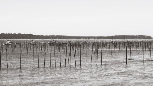 View of wooden posts in the sea