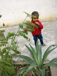 Full length of boy standing against plants