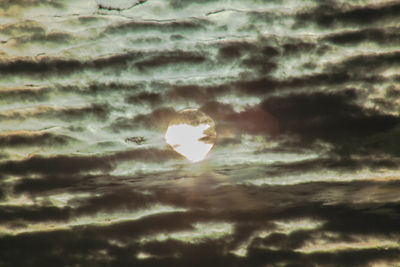 Low angle view of bird against sky at sunset