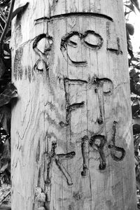 Close-up of old wooden wall