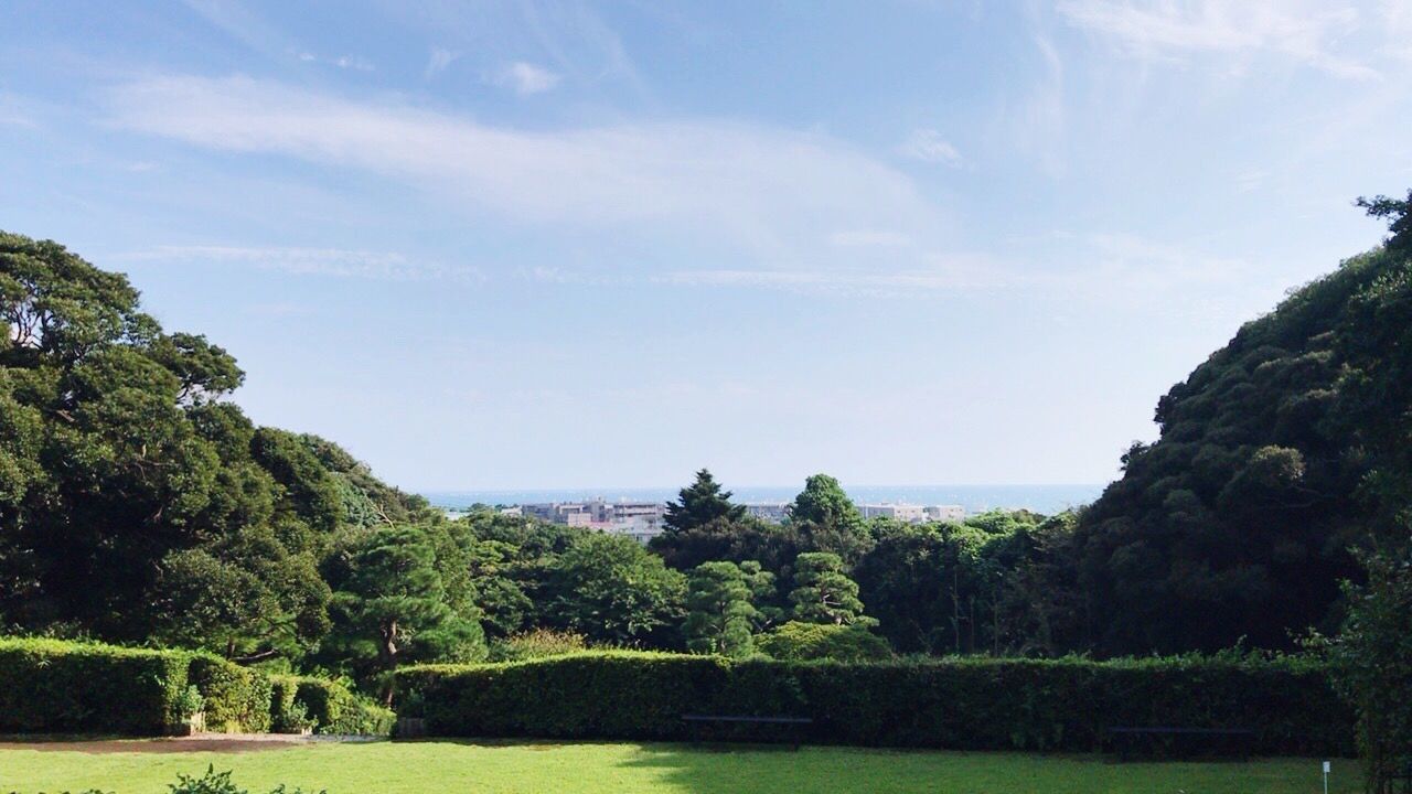 SCENIC VIEW OF GREEN LANDSCAPE AND SKY