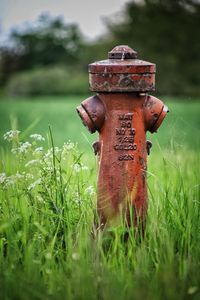 Close-up of fire hydrant on field