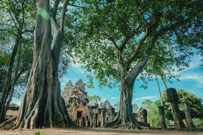 Trees in temple against sky