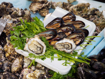 Close-up of oysters at table