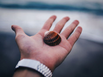 Close-up of snail on hand