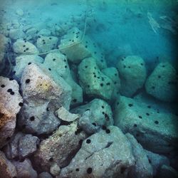 Full frame shot of rocks