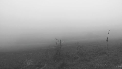 Scenic view of landscape against sky during foggy weather