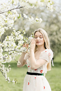 A young blonde in a long white dress poses near a cherry blossom in the garden, a spring landscape.