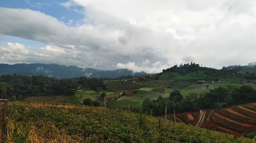 Scenic view of agricultural field against sky