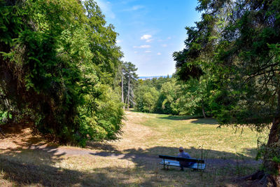 Trees and plants on land against sky