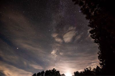 Low angle view of silhouette trees against sky at night