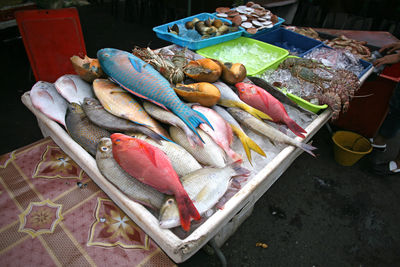 High angle view of fish for sale in market