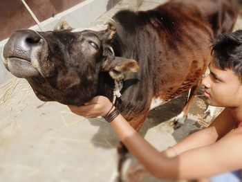 High angle view of young man stroking calf