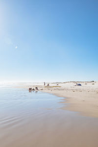 Scenic view of beach against blue sky