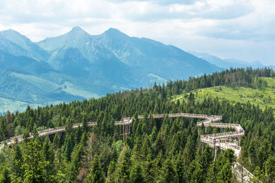 Scenic view of pine trees and mountains against sky