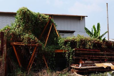 Plants growing on abandoned building by field against sky