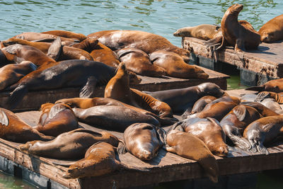 Full frame shot of sea