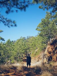 Full length of woman standing on tree trunk