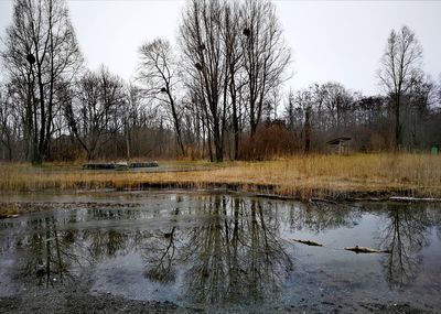 Reflection of bare trees in lake against sky