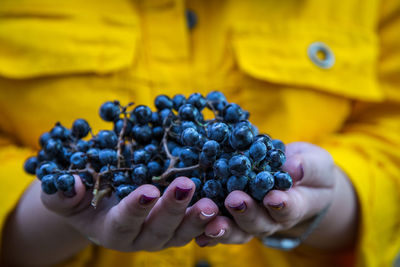 Midsection of woman holding grapes