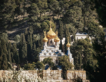 Statue amidst trees and buildings in temple