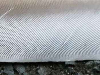 Close-up of corrugated iron