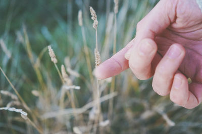 Man's hand